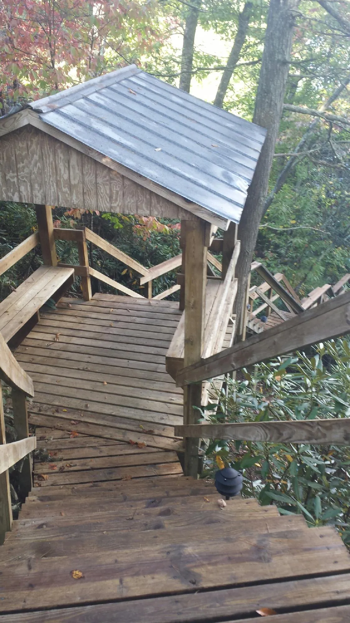 Metal roofed shelter over wooden steps on a wooded walkway — Skylight Repair & Installation work by our crew in Mc Callsburg